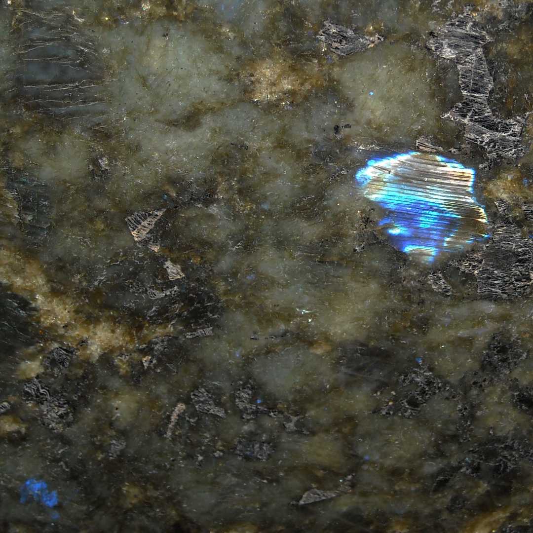 Blue Australe (Блю Аустрале) 2