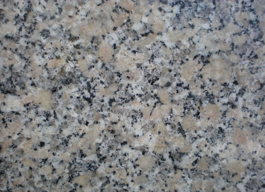 Salvatiera (Сальватьера)