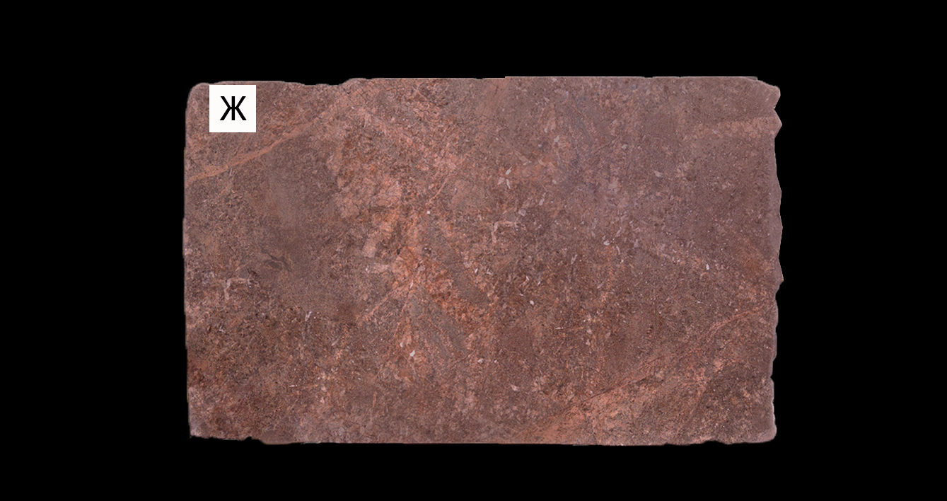 Chocolate Pearl (Шоколат Перл)