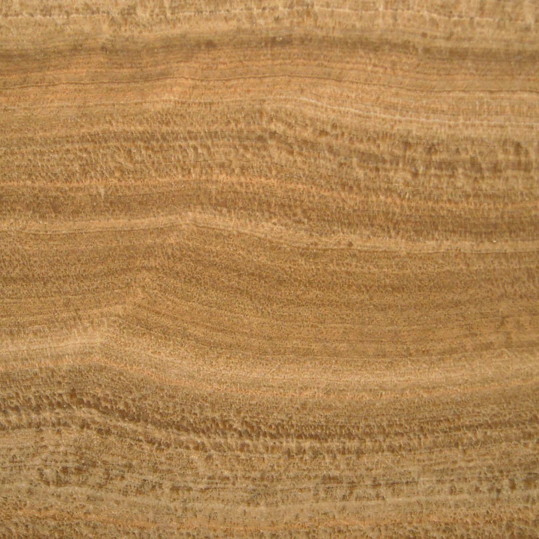 Magic Brown (Мэджик Браун)