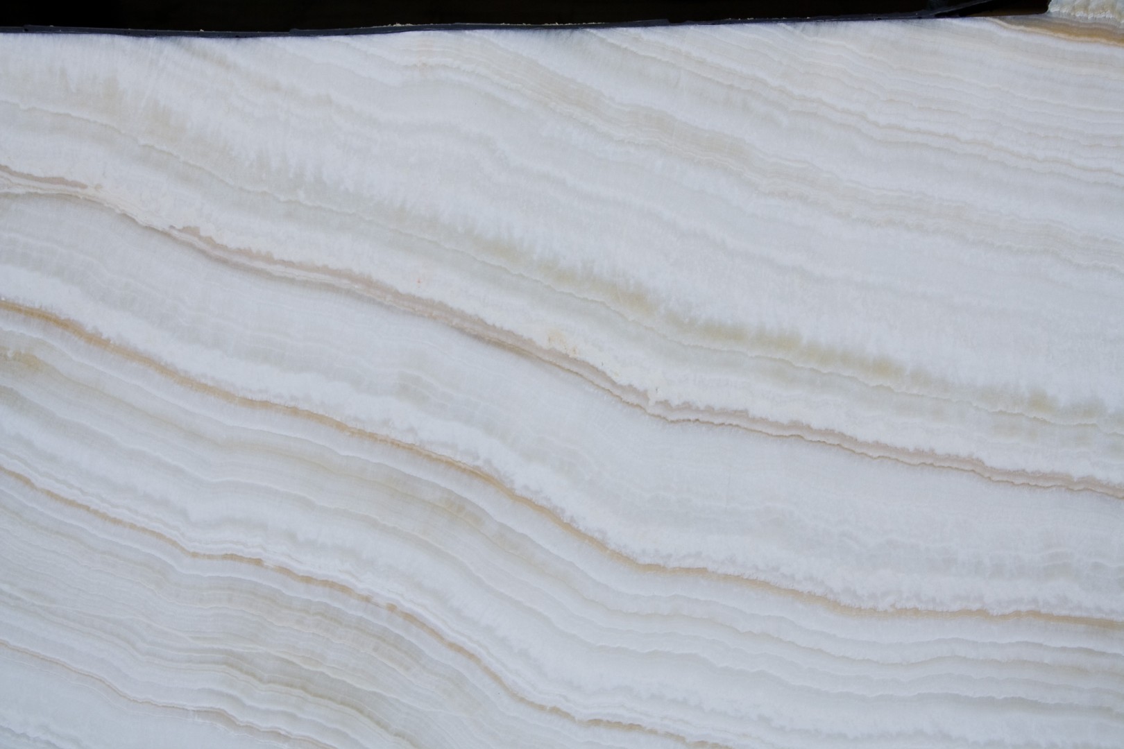 Ivory (Айвори)