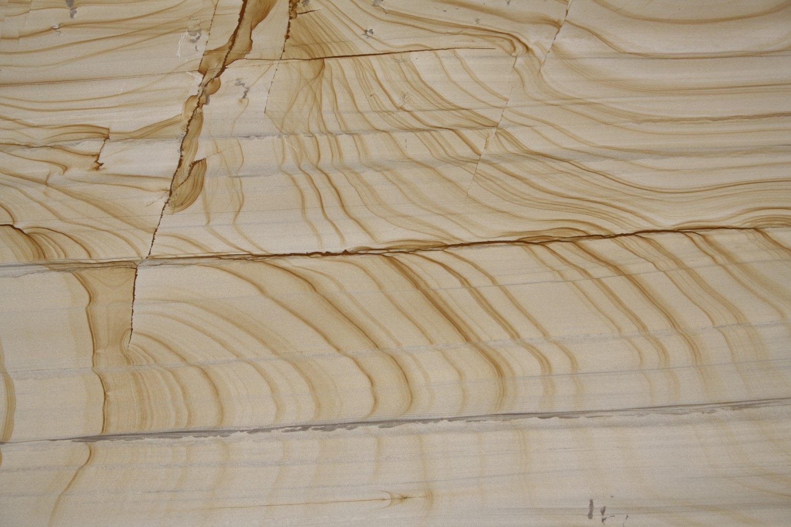 Teak Wood (Тик Вуд) 2